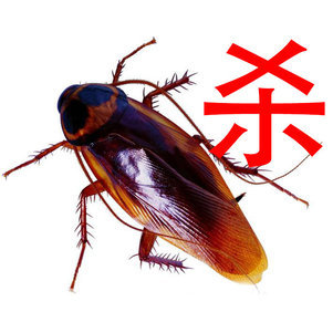 thumb_pc_20180318105704_40115